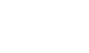 Stoc Auto